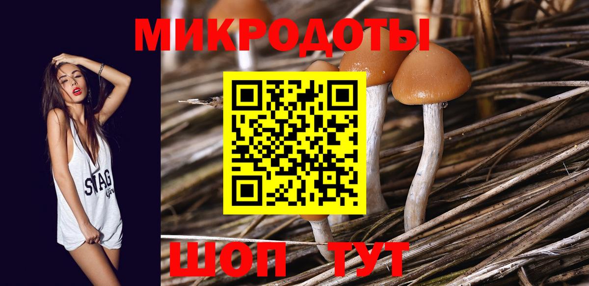 Псилоцибиновые грибы Magic Shrooms  Псилоцибиновые грибы MAGIC MUSHROOMS  наркота  Вход с VPN  Клинцы 