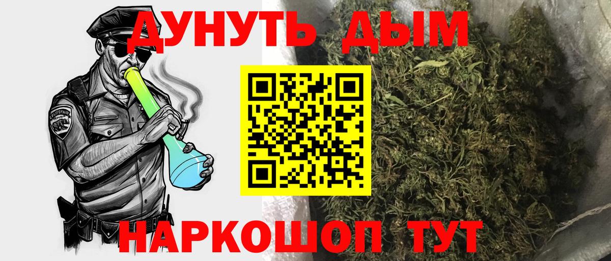 Бошки Шишки план Клинцы